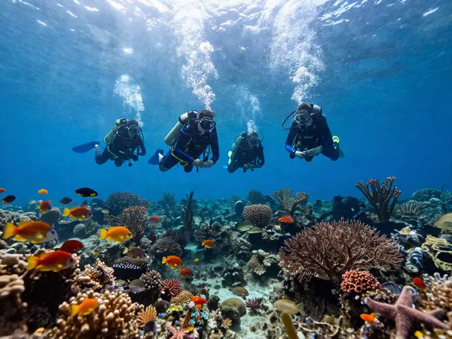 Tauchen im tiefen Wasser Mexikos: Taucher erkunden lebendige Korallenriffe.